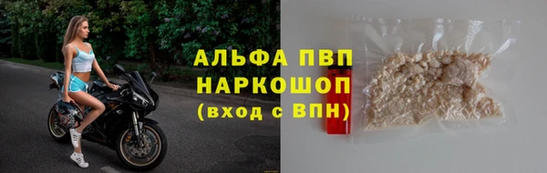 крисы Белокуриха
